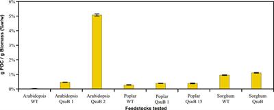 Biological funneling of phenolics from transgenic plants engineered to express the bacterial 3-dehydroshikimate dehydratase (qsuB) gene